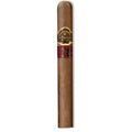 San Cristobal 20th Aniversario