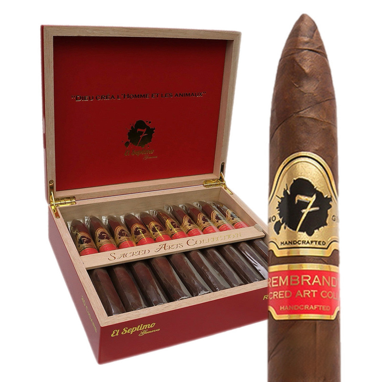 El septimo Sacred Art – Rembrandt Torpedo