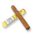 Montecristo Petit Tubos per cigar